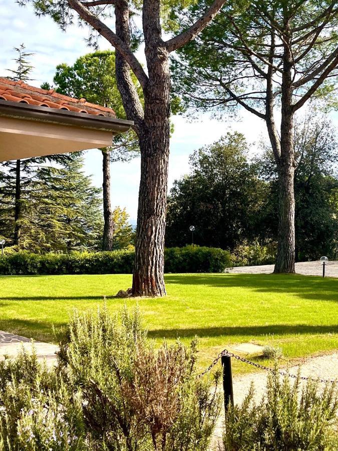 Nuances Del Conero Relais Bed & Breakfast Castelfidardo Eksteriør bilde